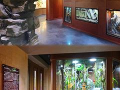 -帕帕拉兹宠物(亚洲旗舰店)