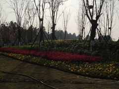-天府芙蓉园