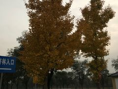 -汉景帝阳陵博物院