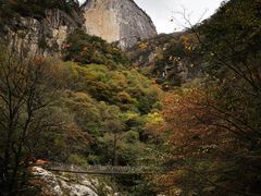 -青峰峡国家森林公园