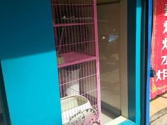 -瑞鹏宠物医院·爱宠堂·骨外专科(西荷分院)