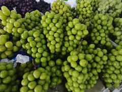 -金宝生活市场(东五环店)