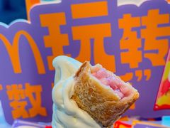 -麦当劳(中二横路店)
