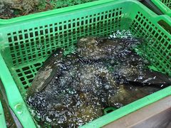 -众味海鲜大排档·活海鲜·潮汕味(南澳店)