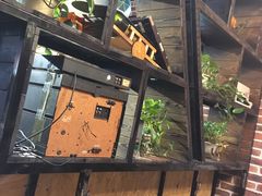 -大城·烧烤海鲜大排档(台东店)