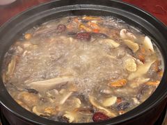 -蘑统田下·野生菌火锅