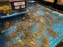 -海月轩海鲜豆捞(紫金塔店)