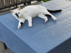 -昆承湖酒家·本帮农家菜