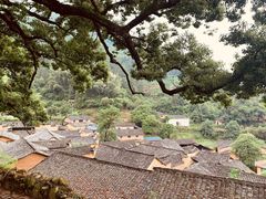 -杨家堂村