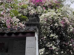 -深圳国际园林花卉博览园