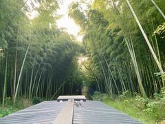 -同里国家湿地公园