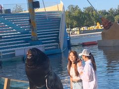 -秦皇岛乐岛海洋王国