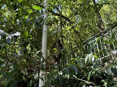 -黔灵山公园-南门售票处