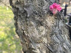 -南湖湿地公园