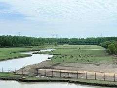 -溱湖国家湿地公园