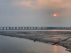 -宝安西湾红树林湿地公园