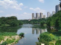 -重庆彩云湖湿地公园