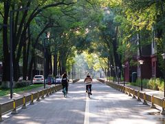 -四川大学(望江校区)