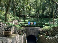 -瑶琳仙境