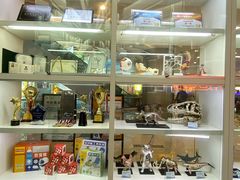 -斯坦星球青少儿编程机器人科学乐高思维专注力科创竞赛规划(武汉凯德西城学习中心)