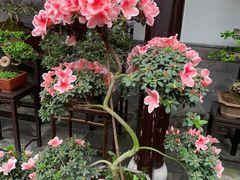 -个园