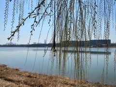 -水西公园