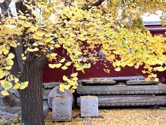 -北京石刻艺术博物馆(五塔寺)