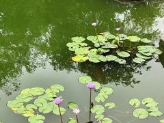 -青岛鑫江温德姆酒店