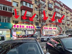 -青奢宠物·青奢猫舍