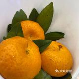 光明🈶️咩好吃的