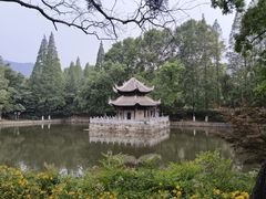 -习家池