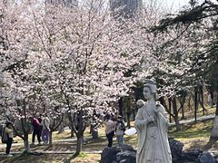 -堤角公园