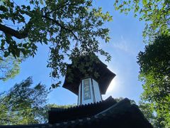 -上海佘山国家森林公园天马山园