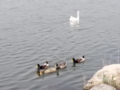 -天津东丽湖风景区