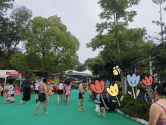 -苏州乐园森林水世界