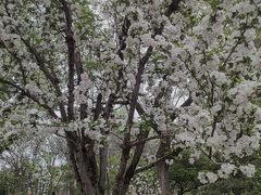 -元大都城垣遗址公园