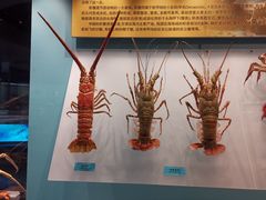 -天津自然博物馆