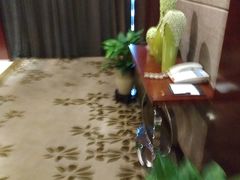 -常州环球恐龙城维景国际大酒店