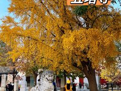 -北京石刻艺术博物馆(五塔寺)