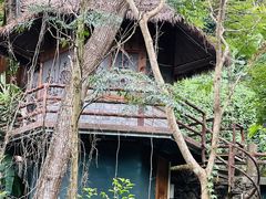 -海南槟榔谷黎苗文化旅游区