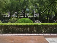 -维乐口腔(格林门诊长宁店)