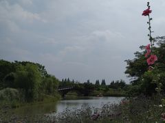 -南湖湿地公园