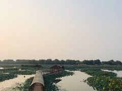 -白洋淀景区