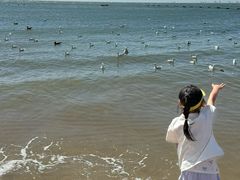 -老虎石海上公园