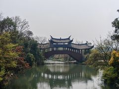 -三垟湿地