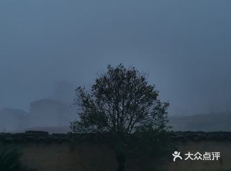 今天大雾，感觉自己真的是仙女了，大雾笼罩了整个山头一