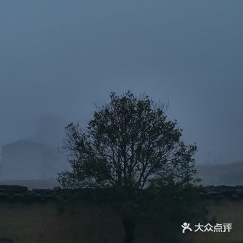 今天大雾，感觉自己真的是仙女了，大雾笼罩了整个山头一