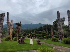 -深圳仙湖植物园