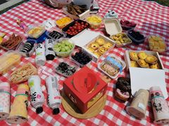 -春花秋色城市公园