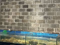 -小时候焗海鲜(鄞州万达店)